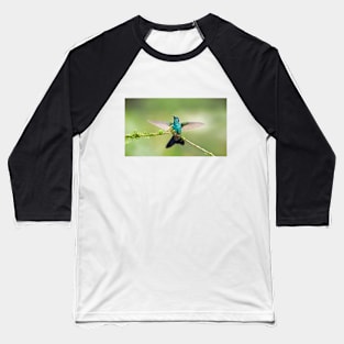 Green Violetear Hummingbird Baseball T-Shirt